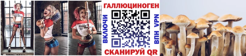 как найти закладки  Мышкин  Псилоцибиновые грибы прущие грибы 